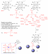 Scheme-1