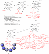 Scheme-4
