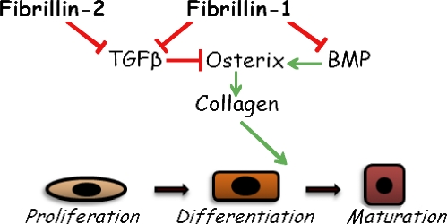 Figure 9.