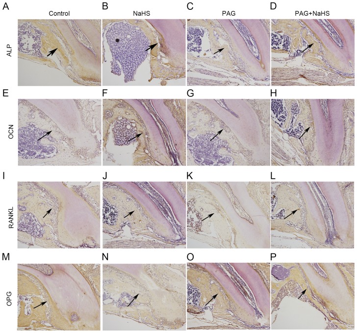 Figure 6.