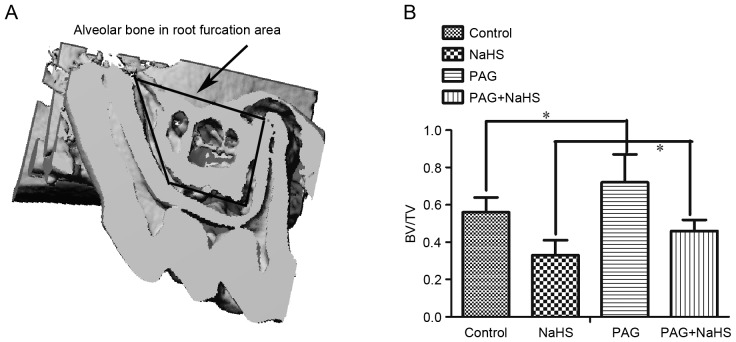 Figure 3.