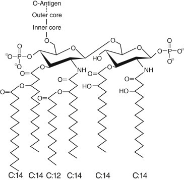 Fig. 12.4