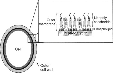 Fig. 12.2