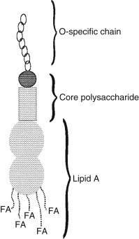 Fig. 12.3