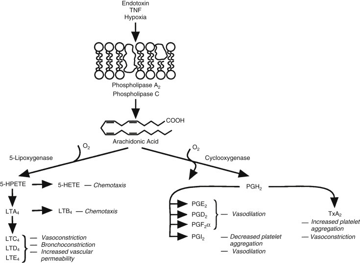 Fig. 12.5