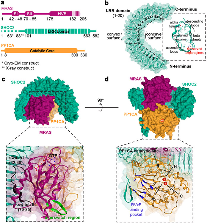 Figure 1: