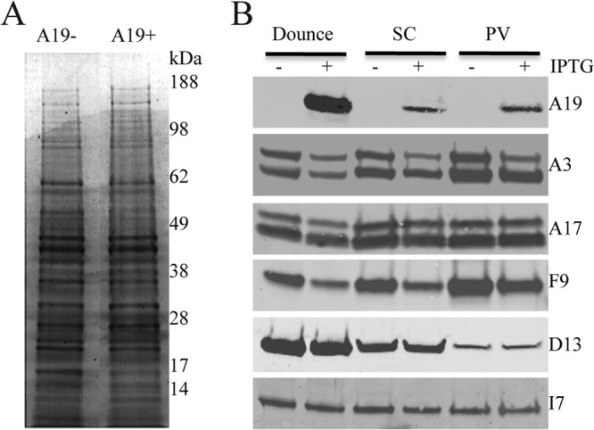 Fig 8