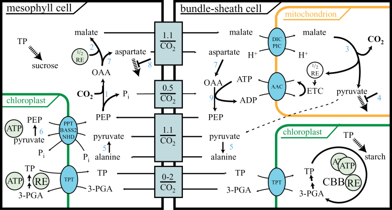 Fig. 3.