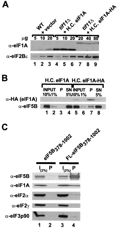 FIG. 6