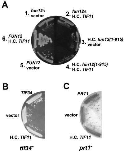 FIG. 7