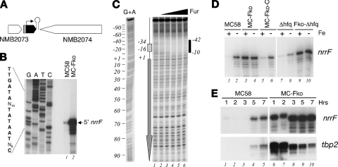 FIG. 1.