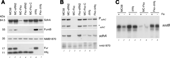 FIG. 5.