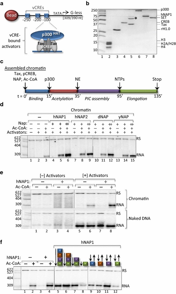 Fig. 1