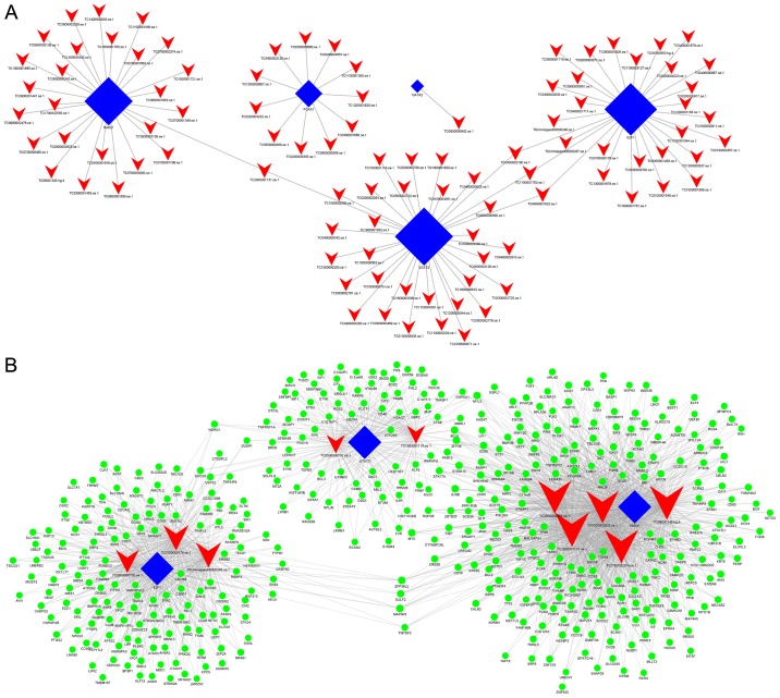 Figure 5.