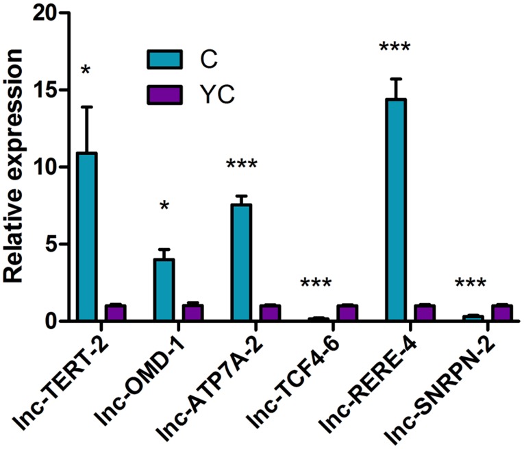 Figure 10.