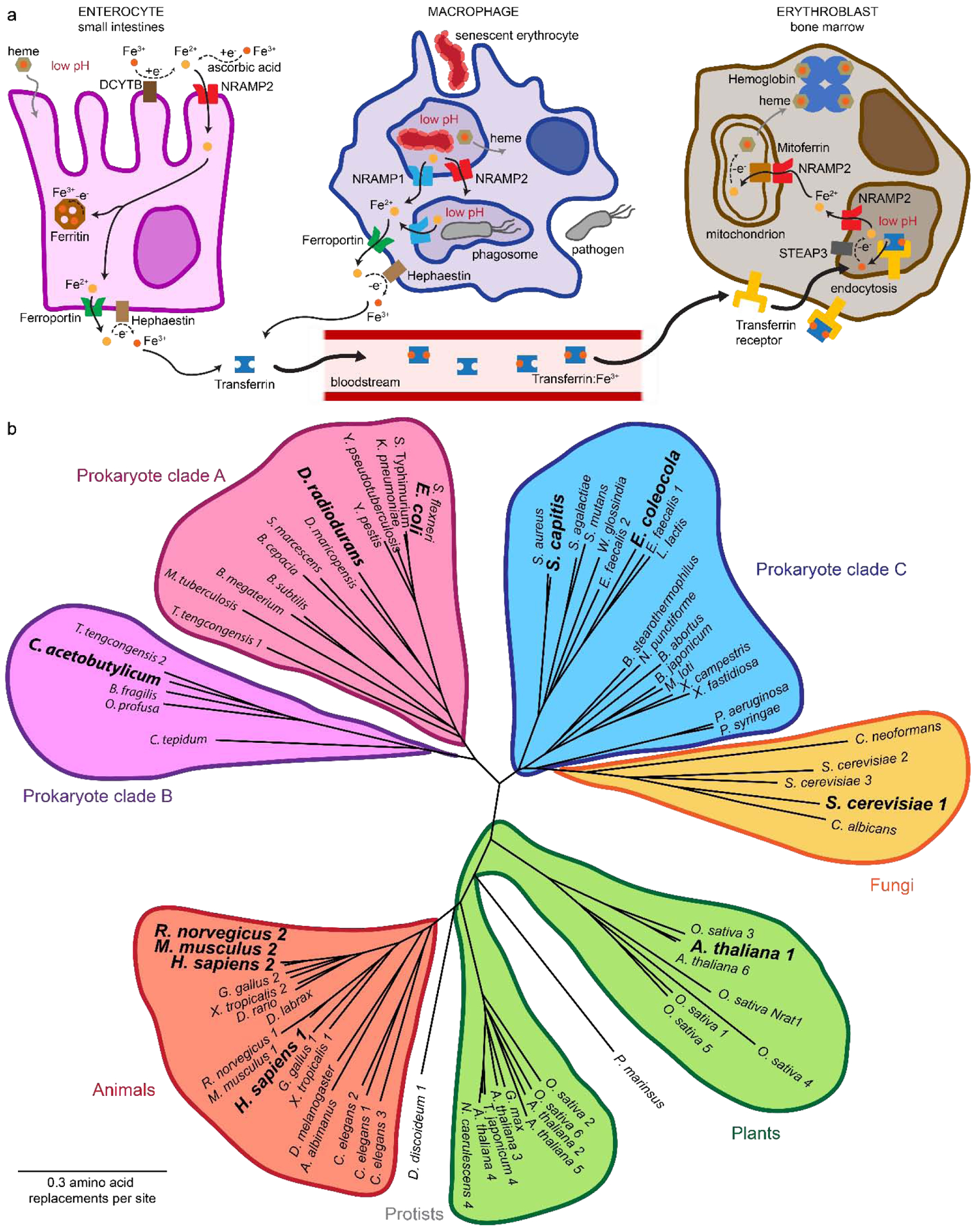 Figure 1.