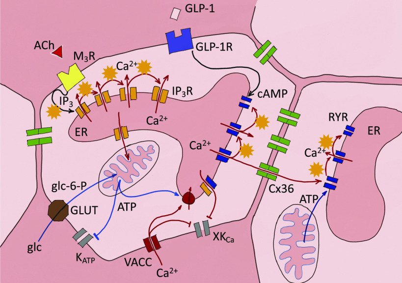 Figure 7.