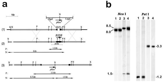 FIG. 3.