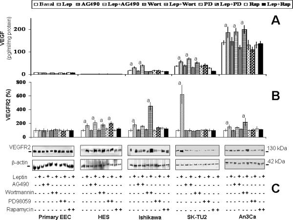 graphic file with name nihms-70964-f0004.jpg