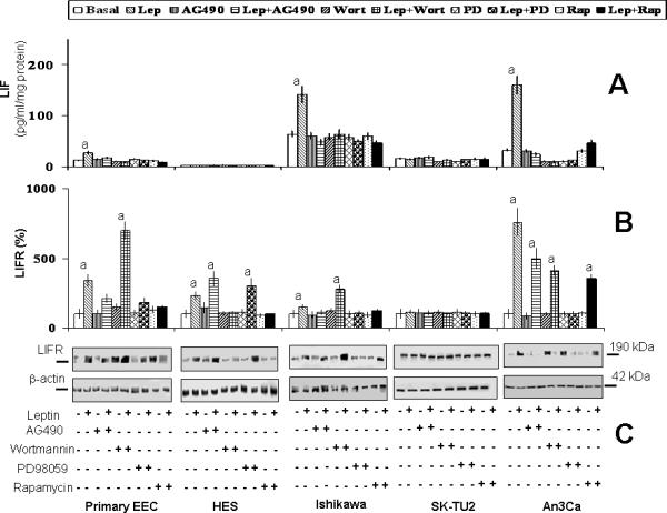 graphic file with name nihms-70964-f0005.jpg