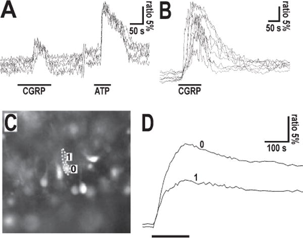 FIG. 4