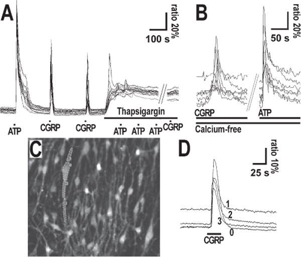 FIG. 3