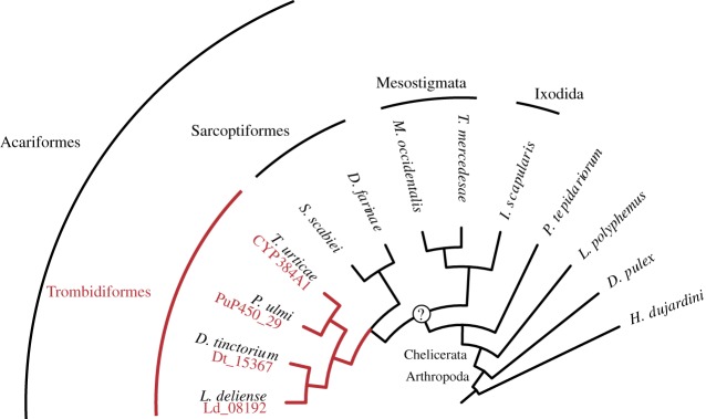 Figure 5.