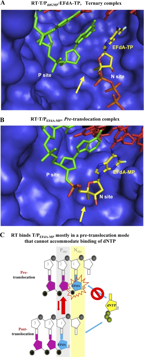 FIGURE 7.