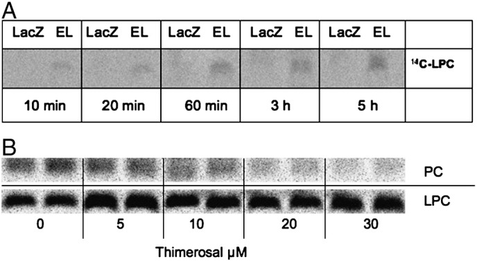 Fig. 3