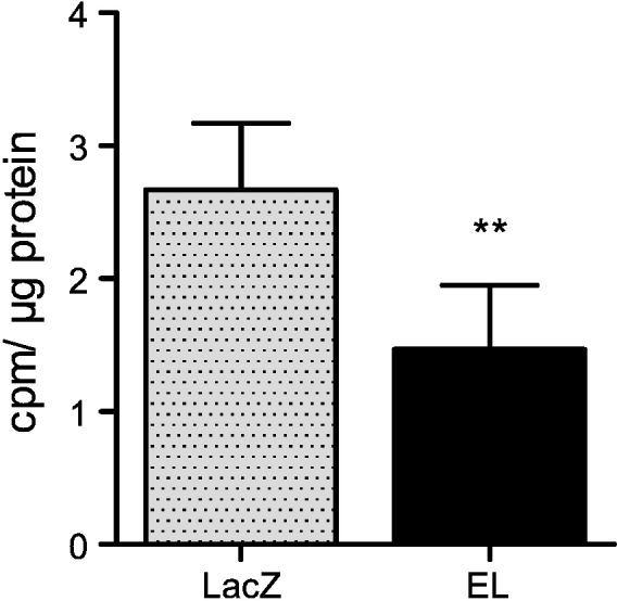 Fig. 4