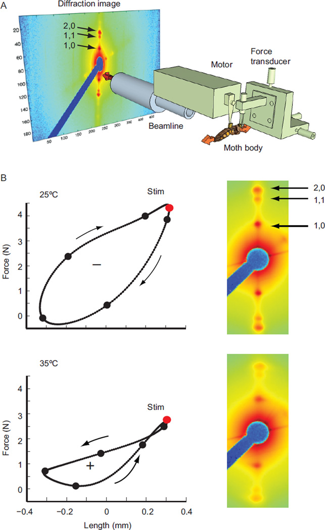 Fig. 1