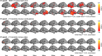 Figure 6—figure supplement 4.
