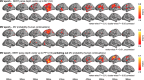 Figure 6—figure supplement 6.