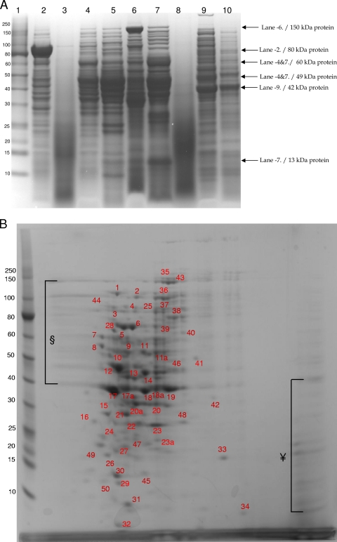 Fig. 9.