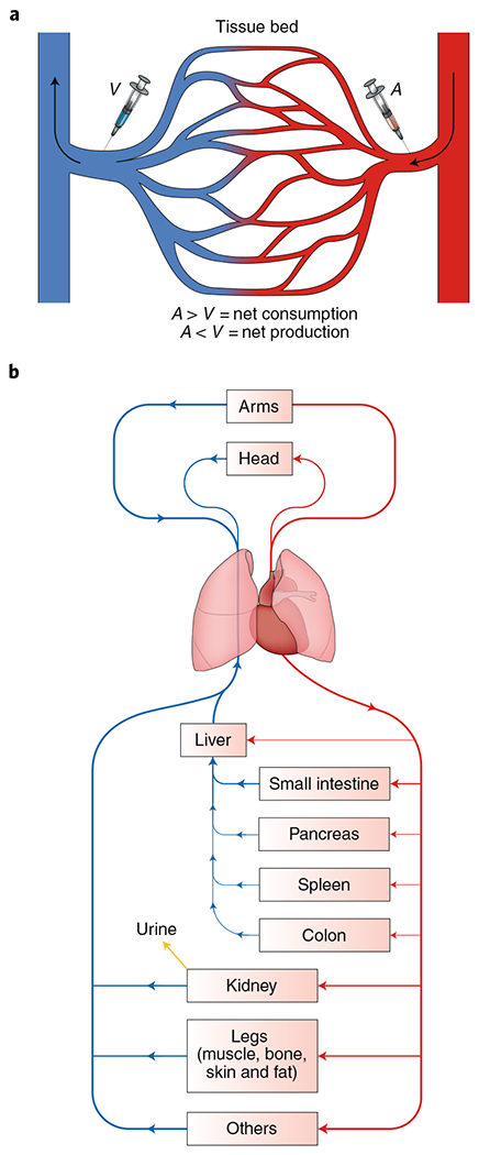 Fig. 2 |