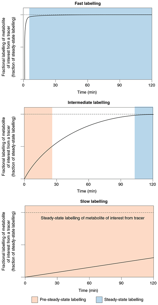 Fig. 4 |