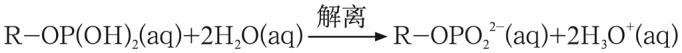 2.