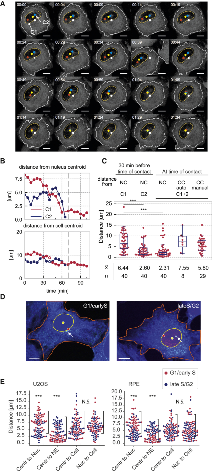 Figure 4