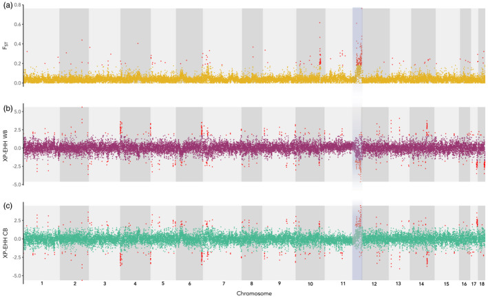 FIGURE 3