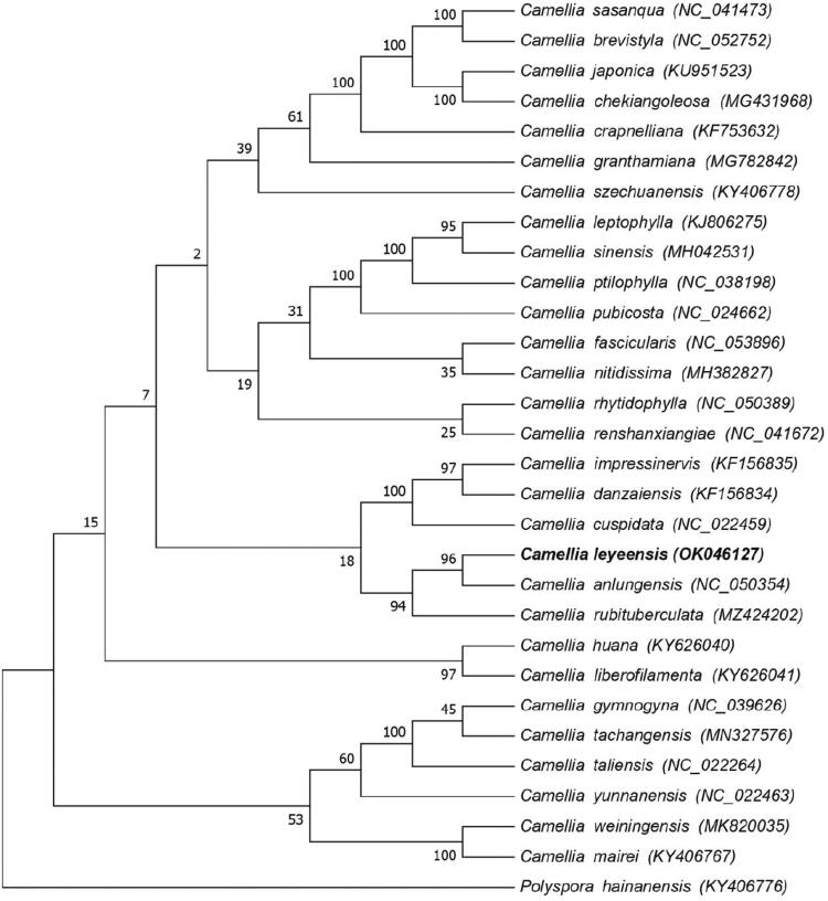 Figure 1.