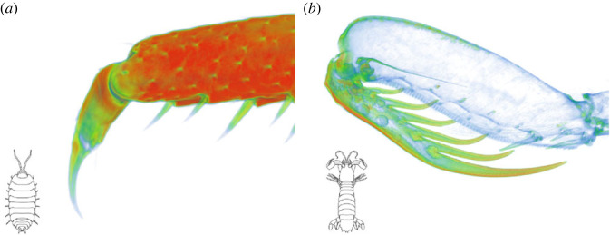 Figure 6. 