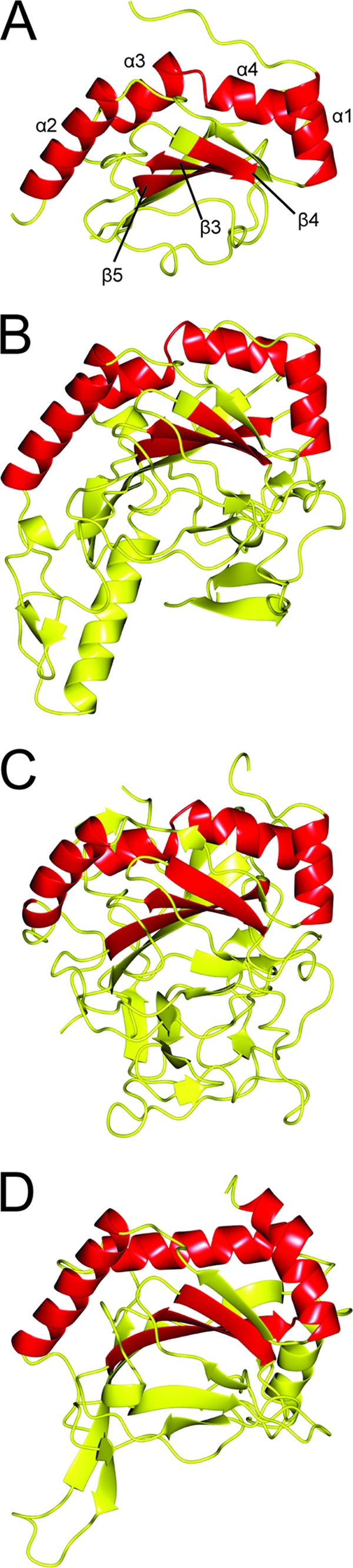 Fig. 3.