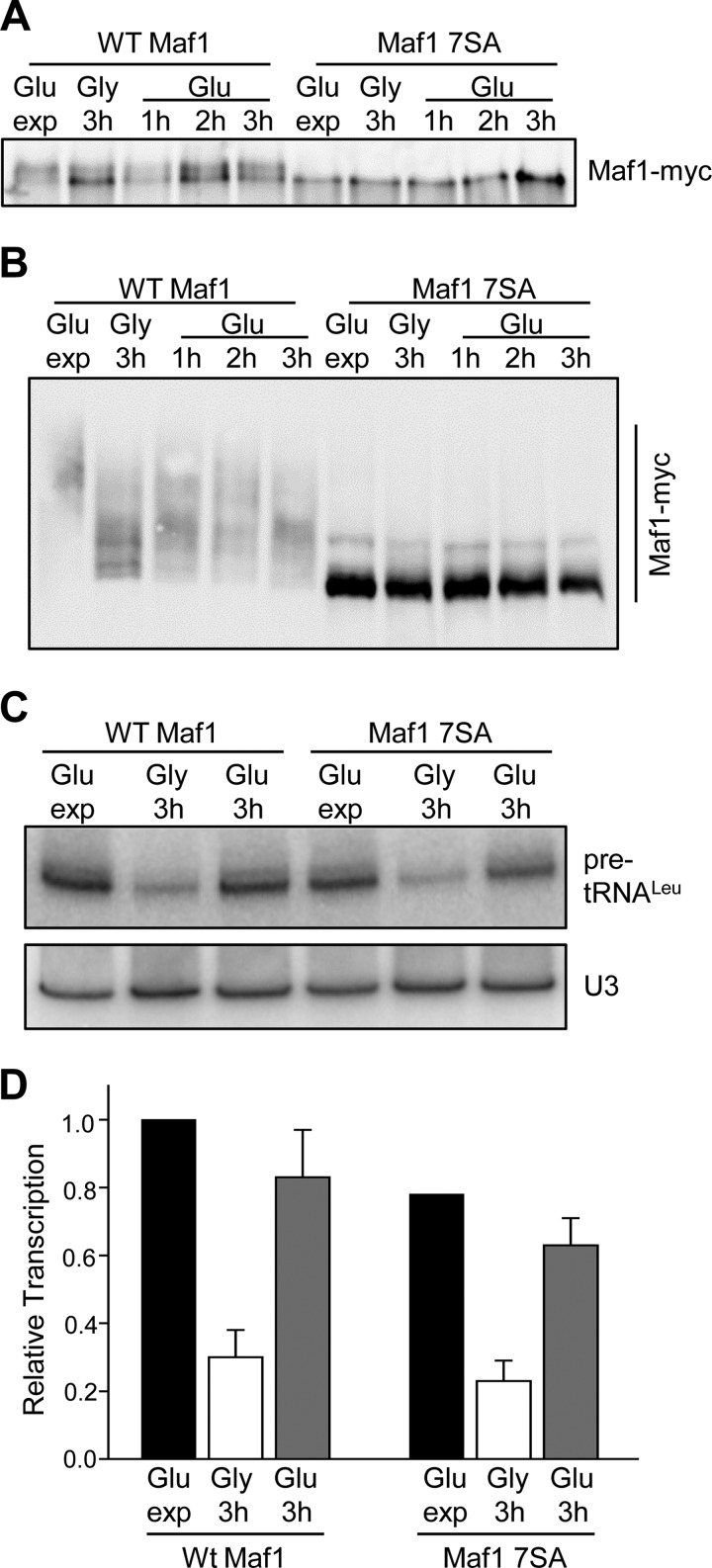 FIGURE 4.