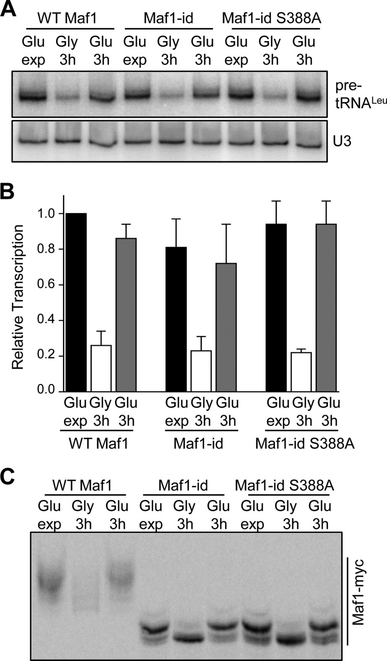 FIGURE 3.