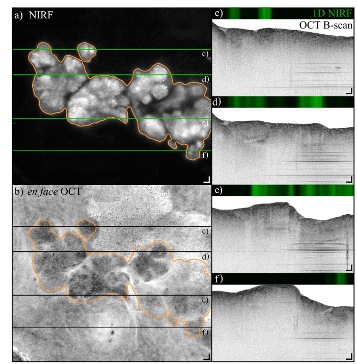 Fig. 7