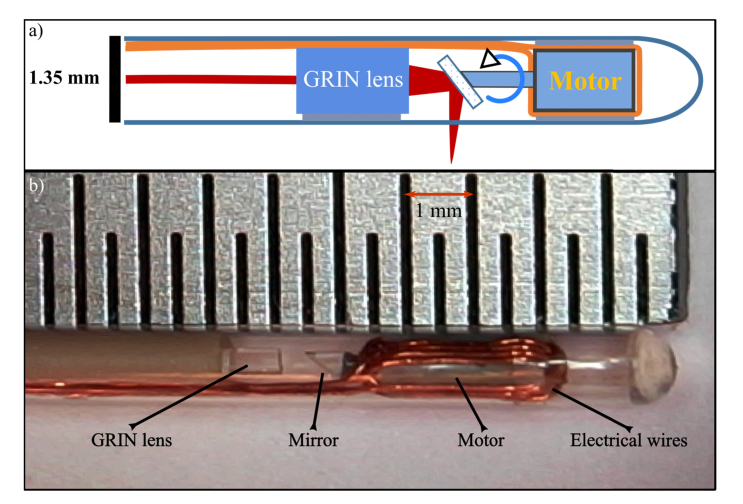 Fig. 2