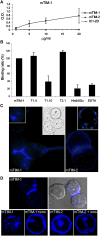 Figure 5