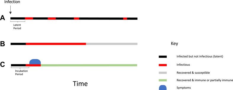 Fig. 1