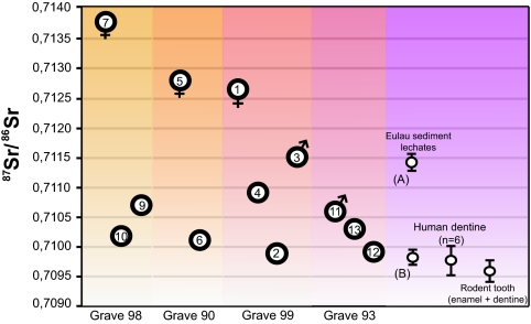 Fig. 5.