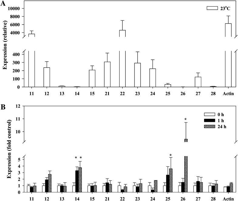 Figure 5.